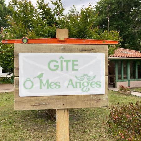 Villa 8 Personnes O Mes Anges Saint-Julien-en-Born Exteriér fotografie