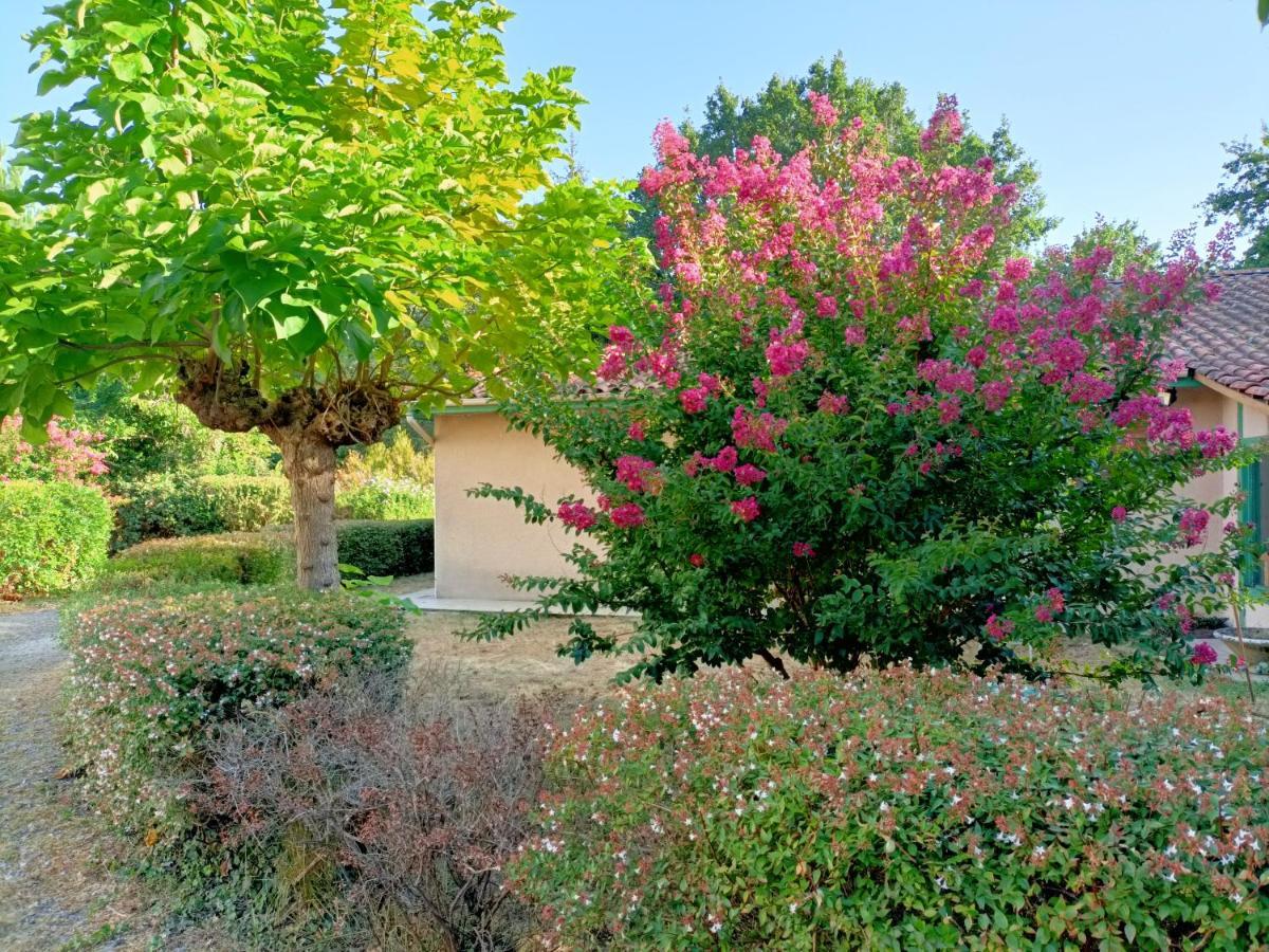 Villa 8 Personnes O Mes Anges Saint-Julien-en-Born Exteriér fotografie